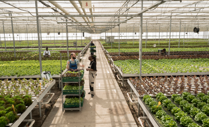 Project Gallery Image