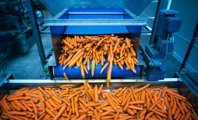 Project Gallery Image